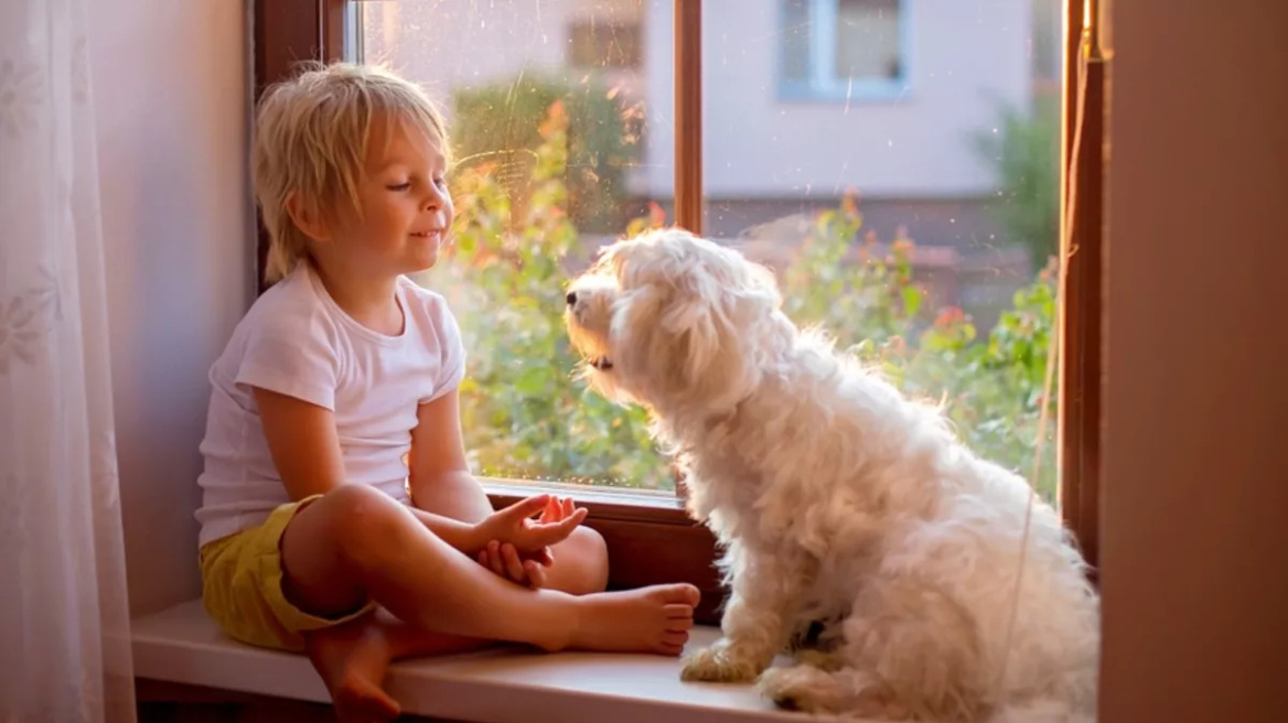 Νέα μελέτη αποκαλύπτει 4 υποτύπους αυτισμού με μοναδικά χαρακτηριστικά – Ποιοι είναι