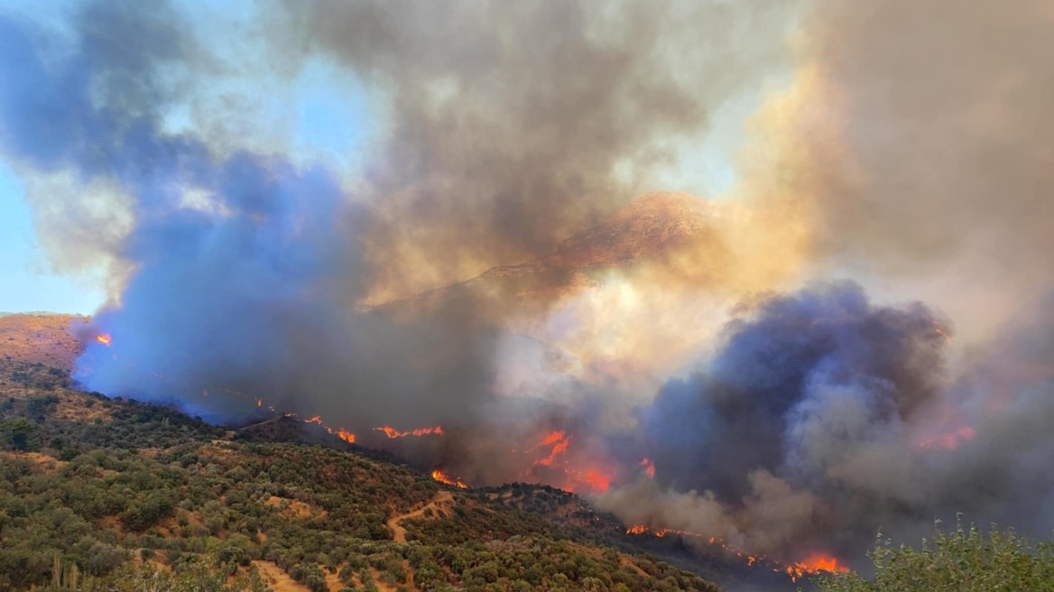 Φωτιά στη Χίο: Μάχη με 3 μέτωπα, εκκενώνεται το χωριό Παρπαριά,  - Δείτε βίντεο