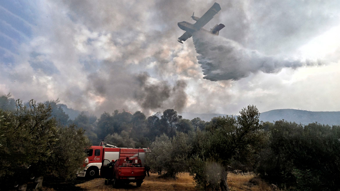 Φωτιά τώρα σε Κεφαλονιά, Φωκίδα, Βόνιτσα καιΖάκυνθο - Εκκενώθηκαν οικισμοί, διακοπές ρεύματος, δείτε βίντεο