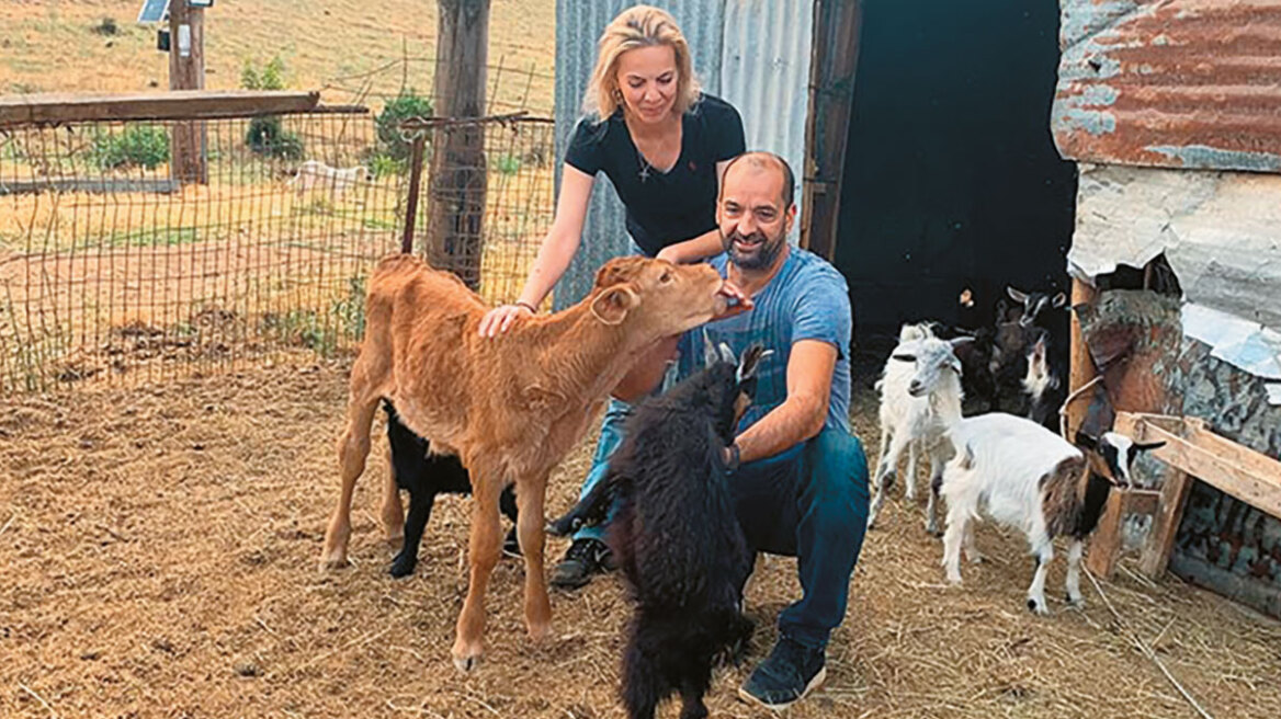 Σεμερτζίδου - Μαγειρίας: Η ιστορία του ζευγαριού που ψάχνει η Αρχή για το «Ξέπλυμα» για τις επιδοτήσεις του ΟΠΕΚΕΠΕ 