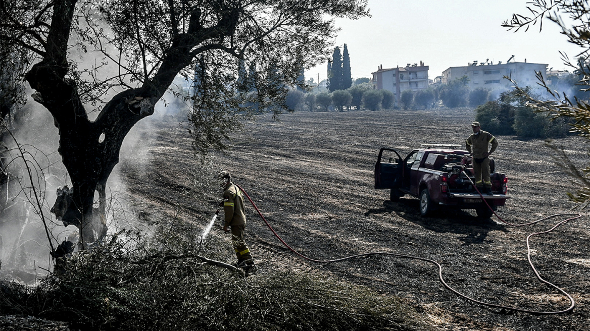 Ενημέρωση Πυροσβεστικής: Σε δύσβατα σημεία η φωτιά στη Χίο, διάσπαρτες εστίες στην Αχαΐα, χωρίς ενεργό μέτωπο η Ζάκυνθος