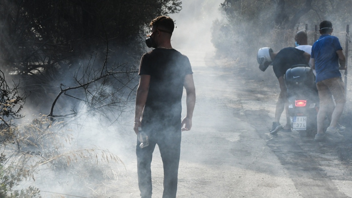 Γεωργιάδης για τη σύλληψη του 19χρονου για τον εμπρησμό στα Συχαινά: Μόνη λύση η παραδειγματική τιμωρία των εμπρηστών