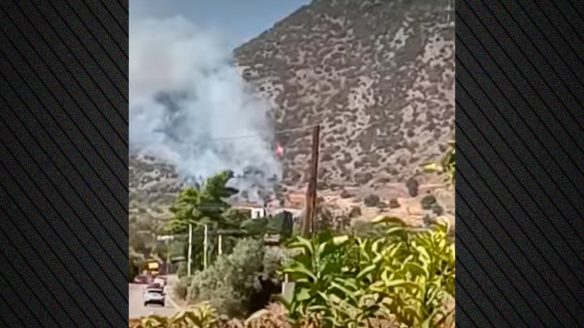 Χωρίς ενεργό μέτωπο η φωτιά στην Ερμιόνη Αργολίδας - Δείτε βίντεο
