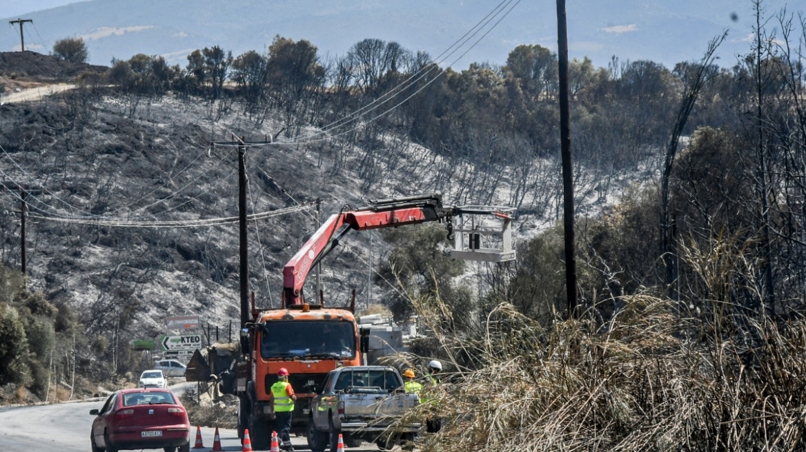 WWF: Ήδη πάνω από τον μέσο όρο εικοσαετίας οι καμένες εκτάσεις στη χώρα