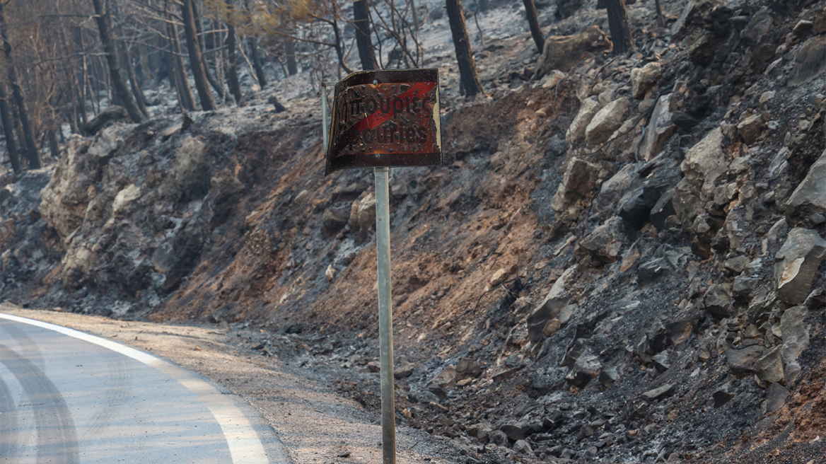 Ο χάρτης της καταστροφής στη βόρεια Χίο: Πάνω από 69.000 στρέμματα καμένα σύμφωνα με το Αστεροσκοπείο Αθηνών