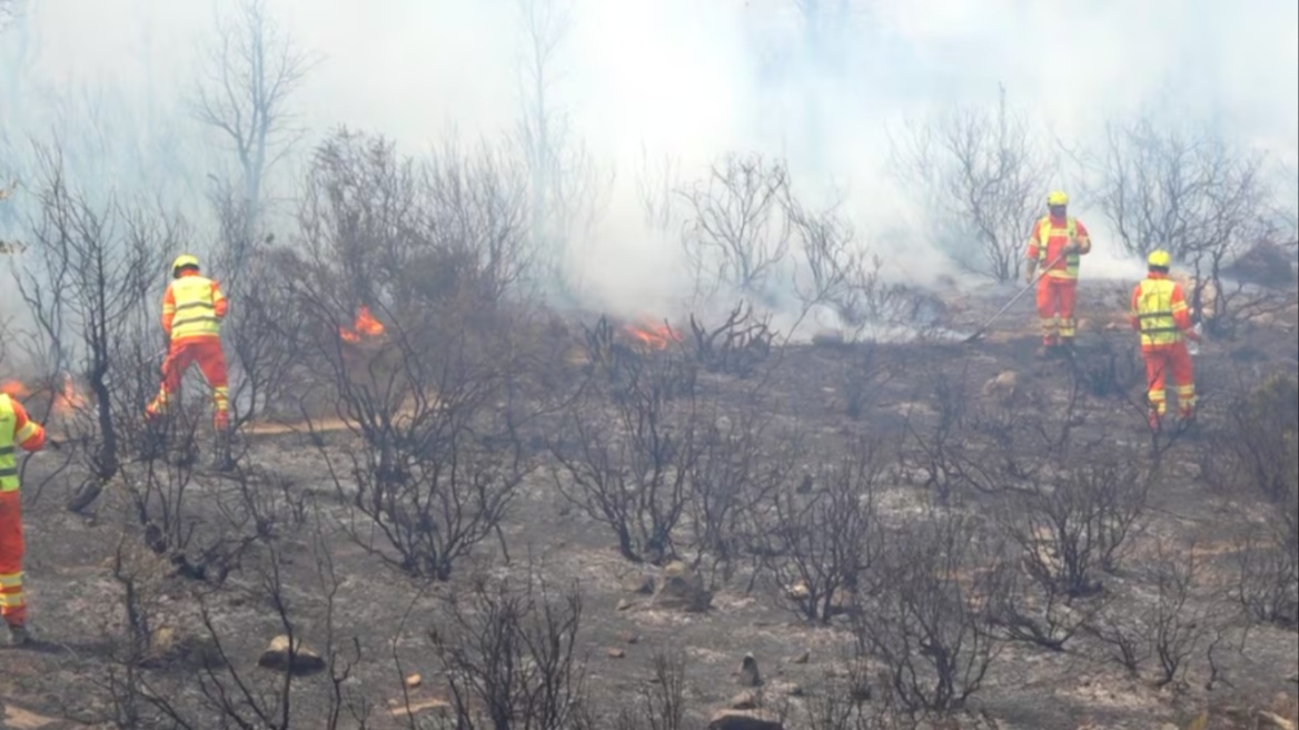 Οριοθετήθηκε η μεγάλη δασική πυρκαγιά στο βόρειο τμήμα του Μαρόκου - Στάχτη πάνω από 5.000 στρέμματα