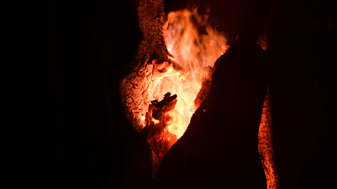 Θεσπρωτία: Οριοθετήθηκε η φωτιά στο Μαλούνι Φιλιατών