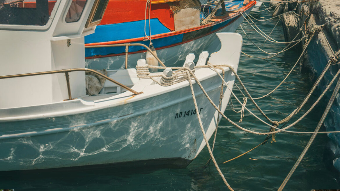 Tα εύσημα των FT στους ψαράδες της Αμοργού: Το σχέδιό τους που μπορεί να σώσει τη Μεσόγειο από την υπεραλίευση