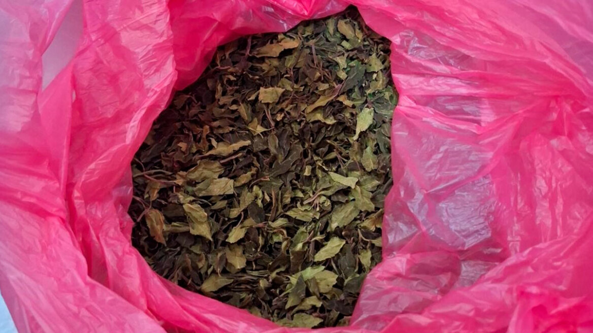 ΑΑΔΕ: Μισός τόνος φυσικής κόκας αξίας 1.500.000 ευρώ, κατασχέθηκε στο Ελ. Βενιζέλος