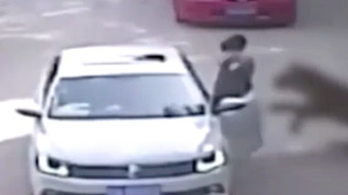 Σοκ στην Κίνα: Τίγρης κατασπάραξε γυναίκα σε σαφάρι μπροστά στα μάτια της οικογένειάς της - Δείτε βίντεο