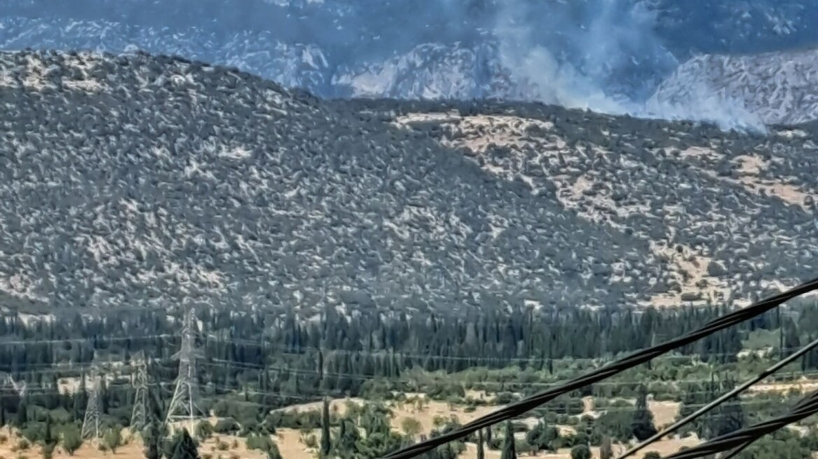 Φωτιά σε δάσος στο Καλό Πηγάδι Φωκίδας - Σηκώθηκαν δύο ελικόπτερα, δείτε βίντεο