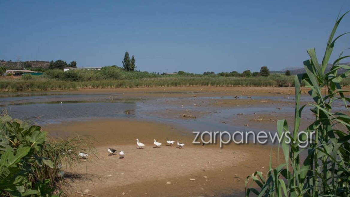 Στερεύει η λίμνη Αγιάς στα Χανιά - Απειλείται ο υγρότοπος, δείτε φωτογραφίες