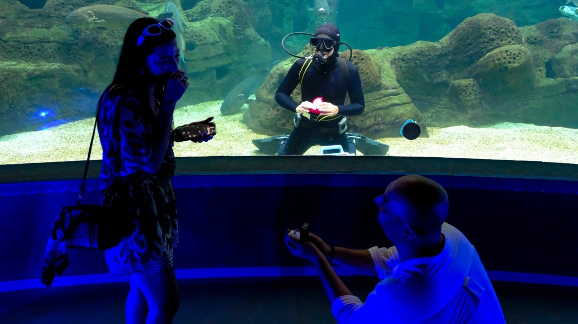 Κρήτη: Ιδιαίτερη πρόταση γάμου στο Ενυδρείο Ηρακλείου με φόντο τον βυθό - Δείτε βίντεο