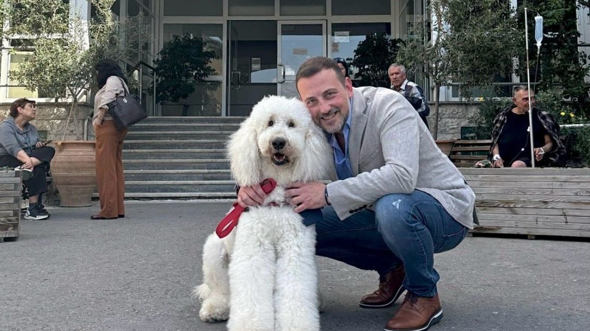 Ανάρτηση Γεωργιάδη για τους σκύλους θεραπείας στο Νοσοκομείο «Μεταξά»: Βάζουμε τον ασθενή στο κέντρο