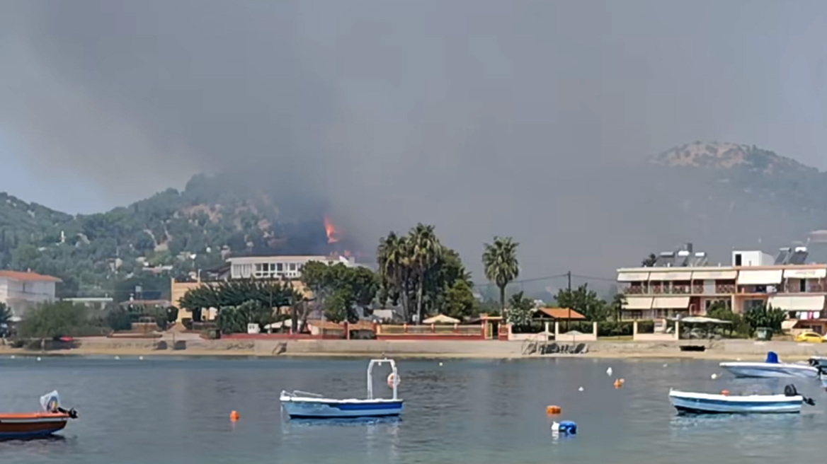 Οριοθετήθηκε η φωτιά στη Μαούνη Ευβοίας - Δείτε βίντεο