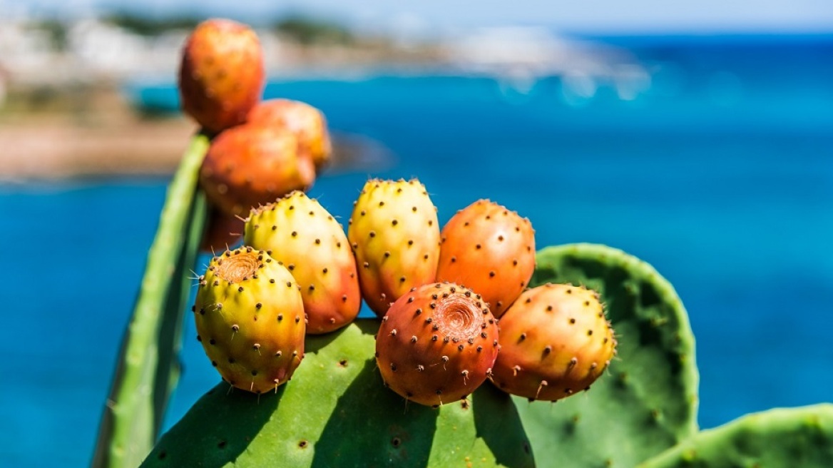 Φραγκόσυκα: Τα οφέλη τους, πώς τα καθαρίζουμε και πώς τα καταναλώνουμε

