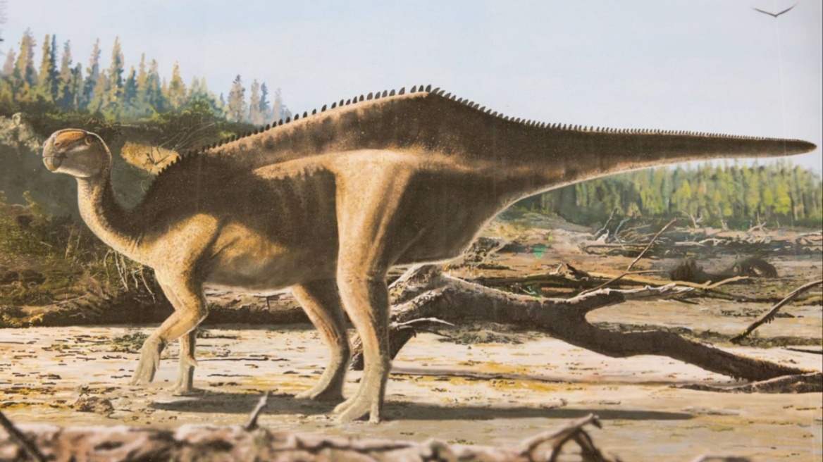 Ανακαλύφθηκε νέος δεινόσαυρος και πήρε το όνομα γυναίκας θρύλου της ιστιοπλοΐας 