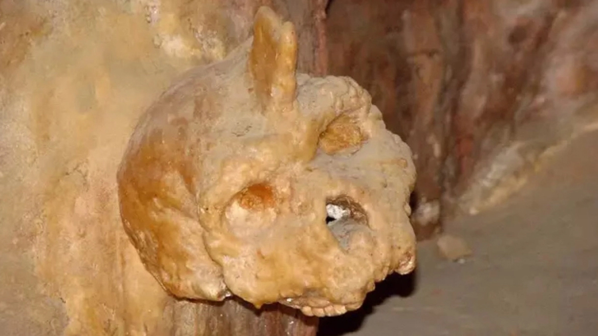 Το μυστηριώδες κρανίο 286.000 ετών που εντοπίστηκε στην Ελλάδα και δεν ανήκει σε ανθρώπινο είδος