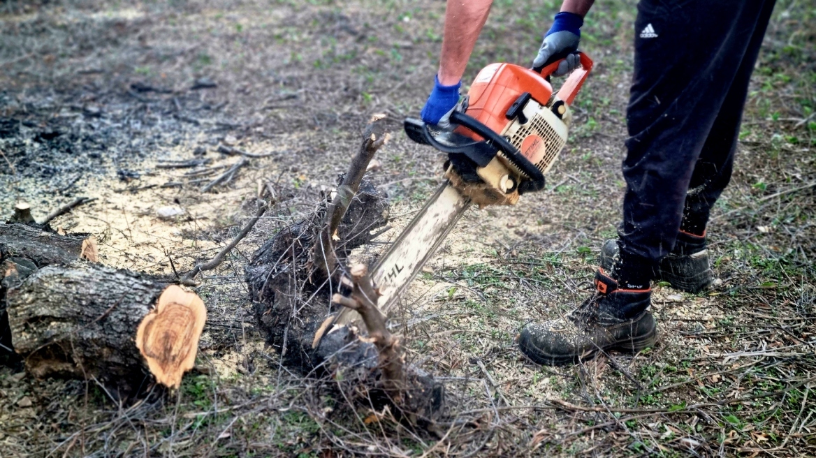 Ιωάννινα: Κορμός οξιάς καταπλάκωσε ξυλοκόπο στην Χρυσοβίτσα