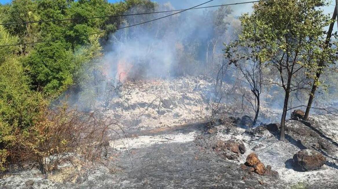 Υπό μερικό έλεγχο η φωτιά στο Ράγιο Φιλιατών στη Θεσπρωτία