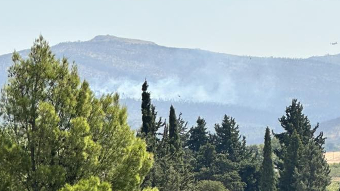 Οριοθετήθηκε η φωτιά στα Δερβενοχώρια Βοιωτίας