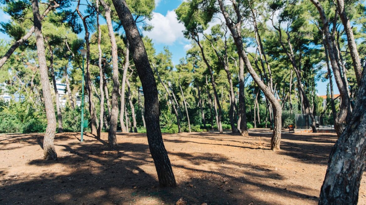 Κλείνει μέχρι νεοτέρας το Άλσος Χωροφυλακής λόγω ερευνών για παράνομες ταφές ζώων