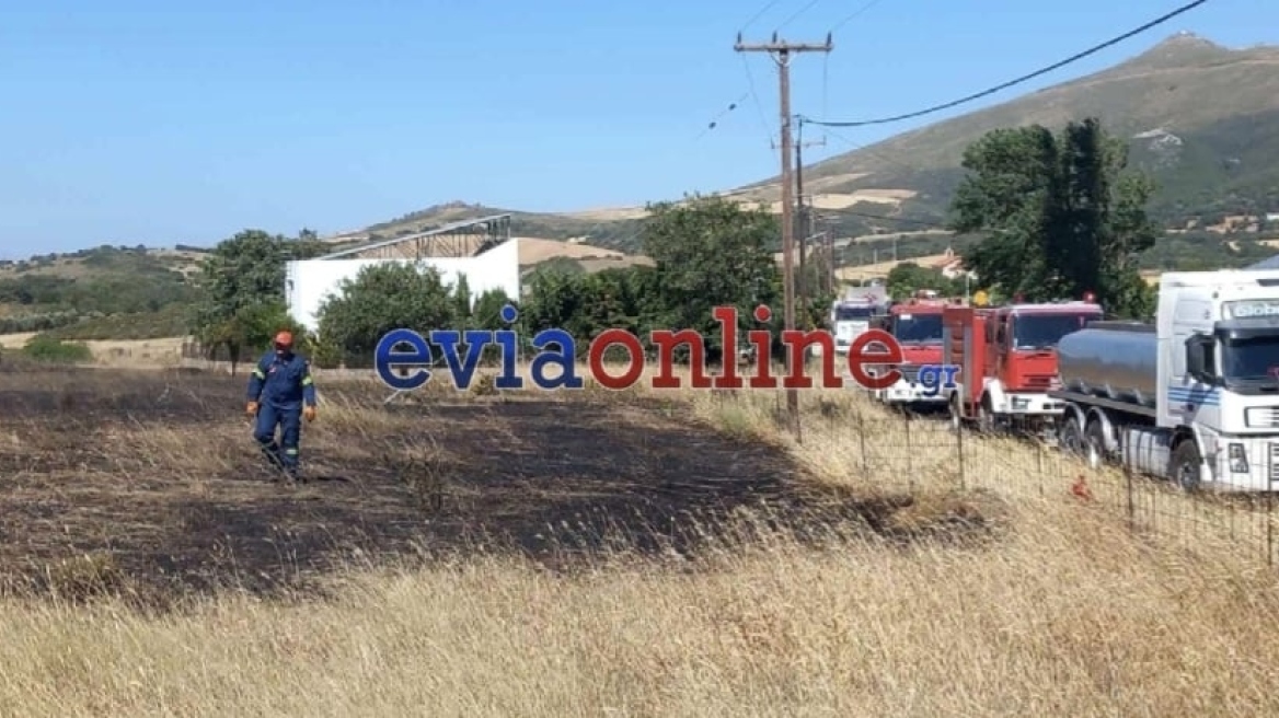 Υπό έρευνα έξι ανήλικα παιδιά για τη συμμετοχή τους σε πυρκαγιές στην Εύβοια – Εξετάστηκαν οι γονείς τους