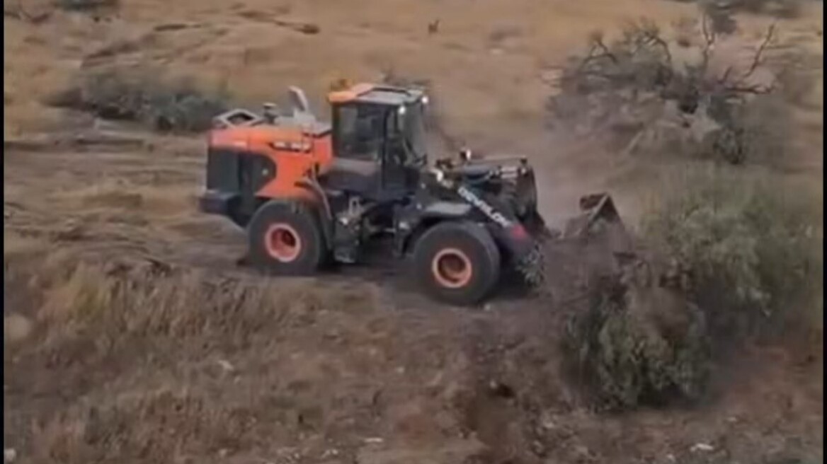 Ισραηλινές μπουλντόζες ξερίζωσαν χιλιάδες δέντρα σε χωριό της Δυτικής Όχθης – Δείτε βίντεο
