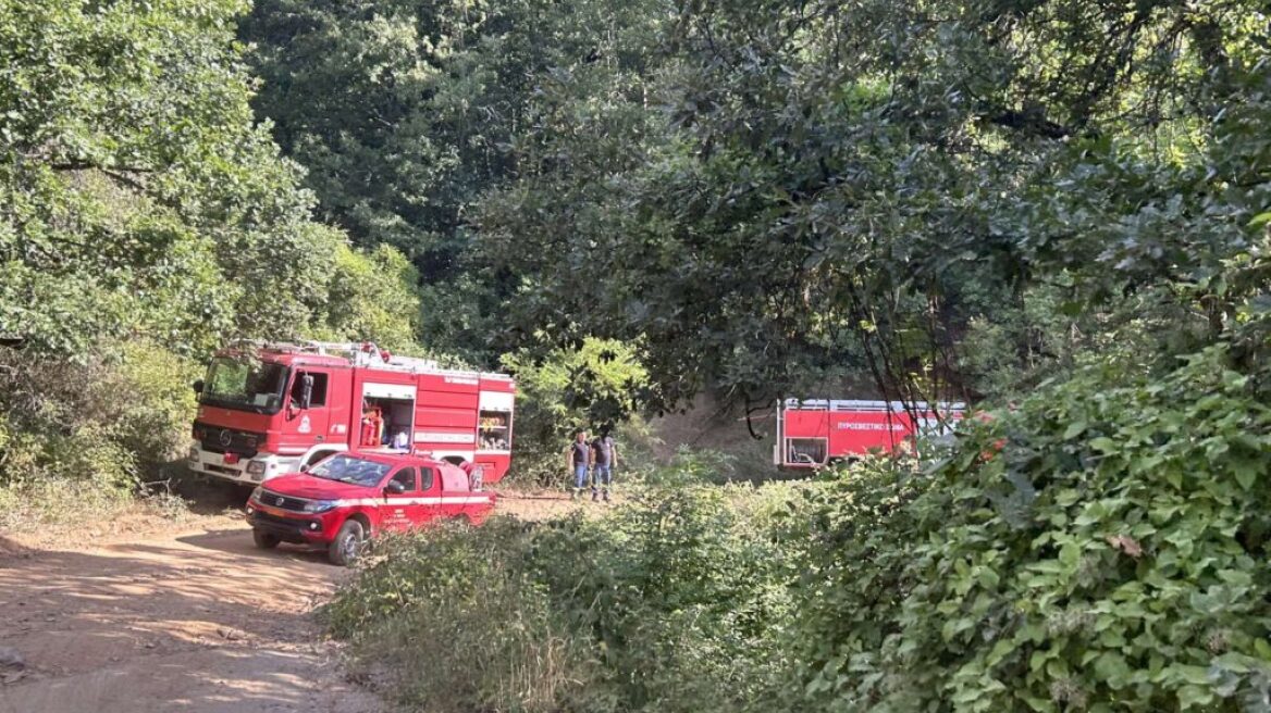 Σε ύφεση η φωτιά στο Μακροχώρι Καστοριάς - Παραμένουν δυνάμεις στο σημείο