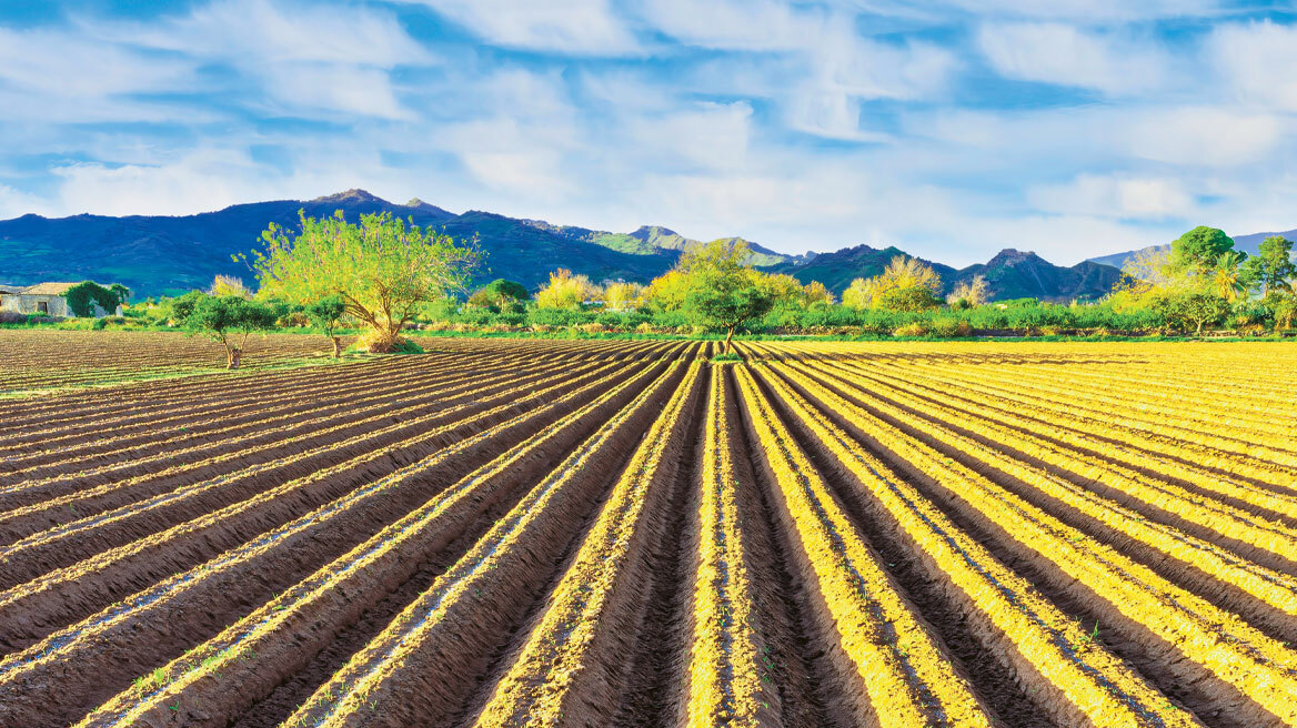 Υπόθεση ΟΠΕΚΕΠΕ: Ο χάρτης των αμαρτωλών επιδοτήσεων - 25 νέες περιπτώσεις και το μοτίβο δράσης τους