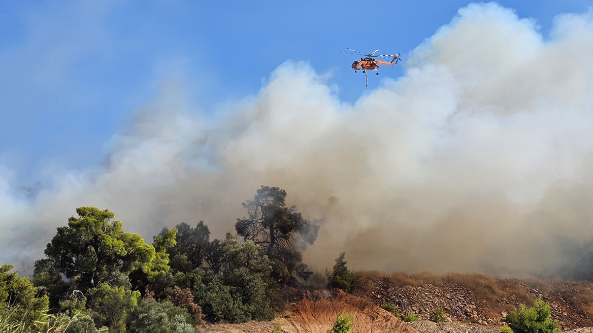 Οριοθετήθηκε  η φωτιά στην Παιανία, ενισχύθηκαν προληπτικά οι πυροσβεστικές δυνάμεις - Δείτε βίντεο