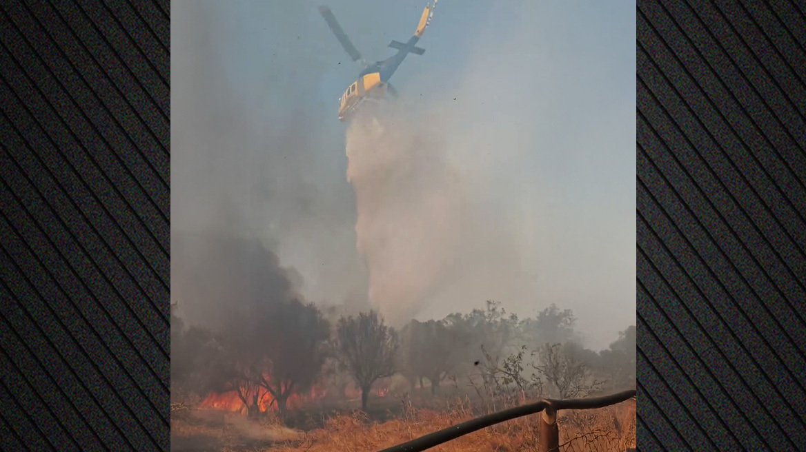 Οριοθετήθηκε η φωτιά στο Λαύριο - Επιχειρούν ισχυρές δυνάμεις της Πυροσβεστικής