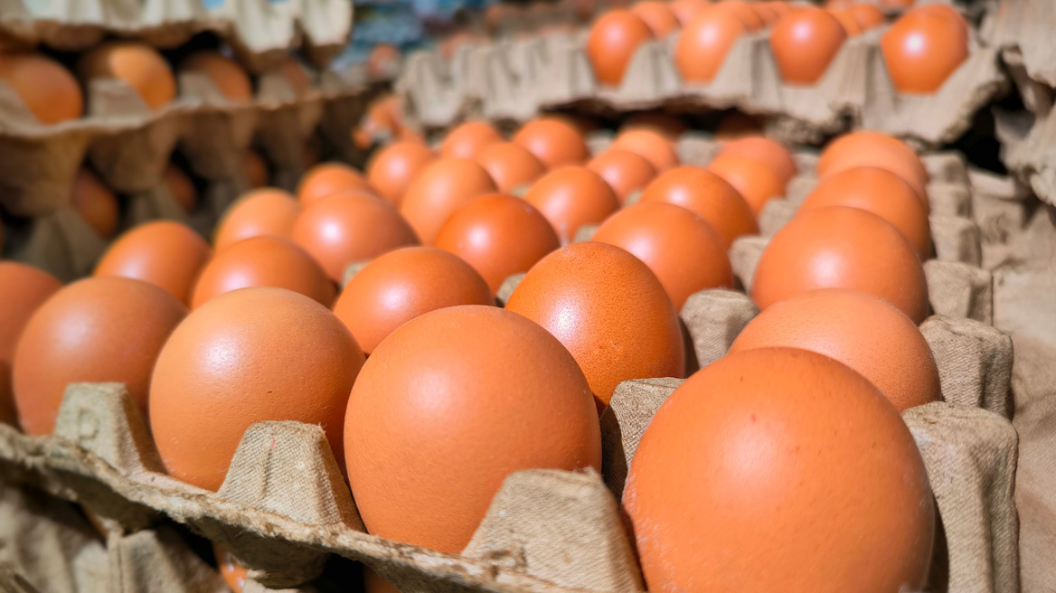 Θωμαΐδης για τις απαγορευμένες ουσίες που εντοπίστηκαν σε αυγά: Υπάρχουν παντού, αν δώσουμε αίμα είναι σχεδόν σίγουρο ότι θα τις εντοπίσουμε!