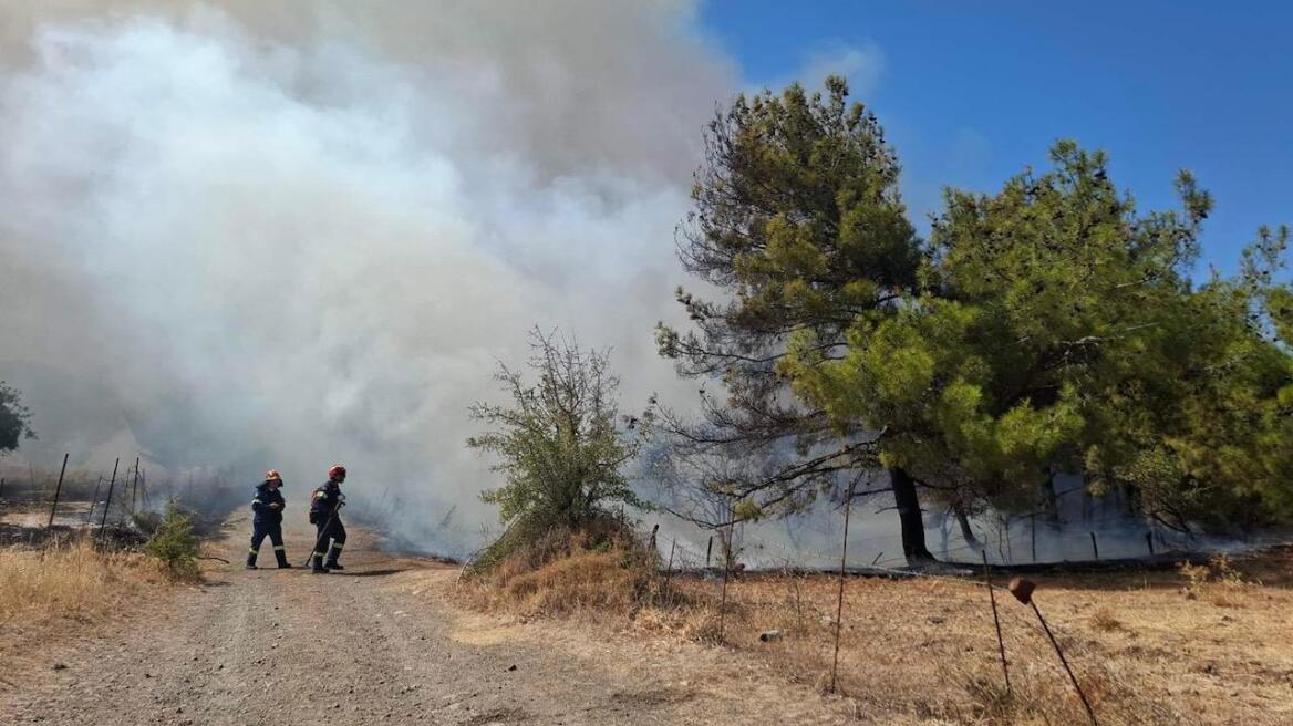Ποινή φυλάκισης 18 μηνών με ανασταλτικό χαρακτήρα.