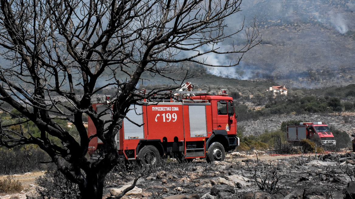 Επιχειρούν 54 πυροσβέστες και εναέρια μέσα.