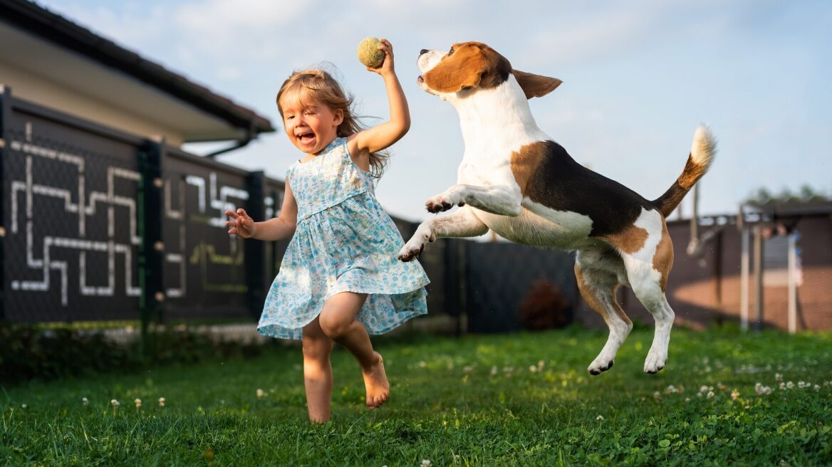 4 τρόποι για να σταματήσετε τον σκύλο σας να κυνηγάει παιδιά