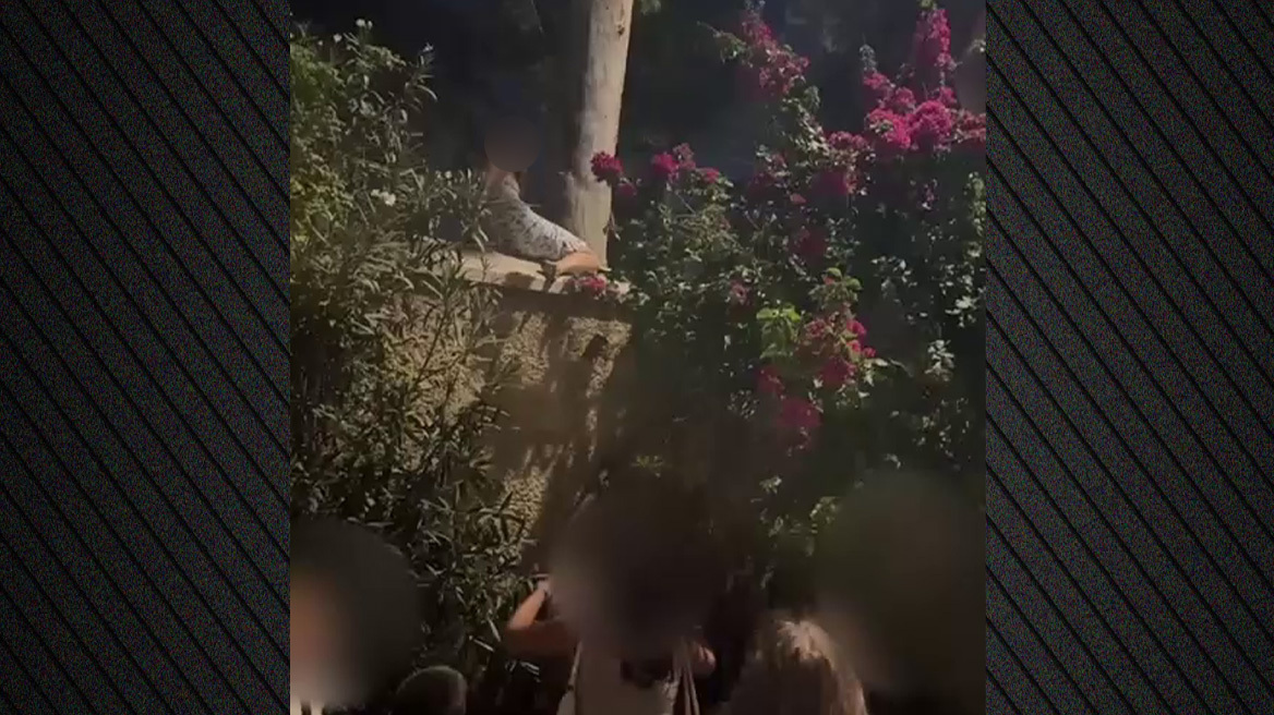 Φαν της Άννας Βίσση σκαρφαλώνουν στην πίσω πλευρά του Καλλιμάρμαρου για να δουν τη συναυλία - Δείτε βίντεο
