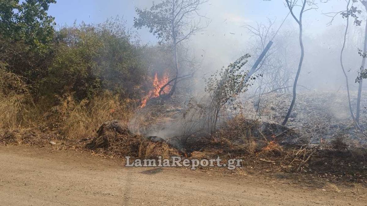 Φωτιά τώρα στα Καμένα Βούρλα - Επιχειρούν τρία εναέρια μέσα, δείτε βίντεο