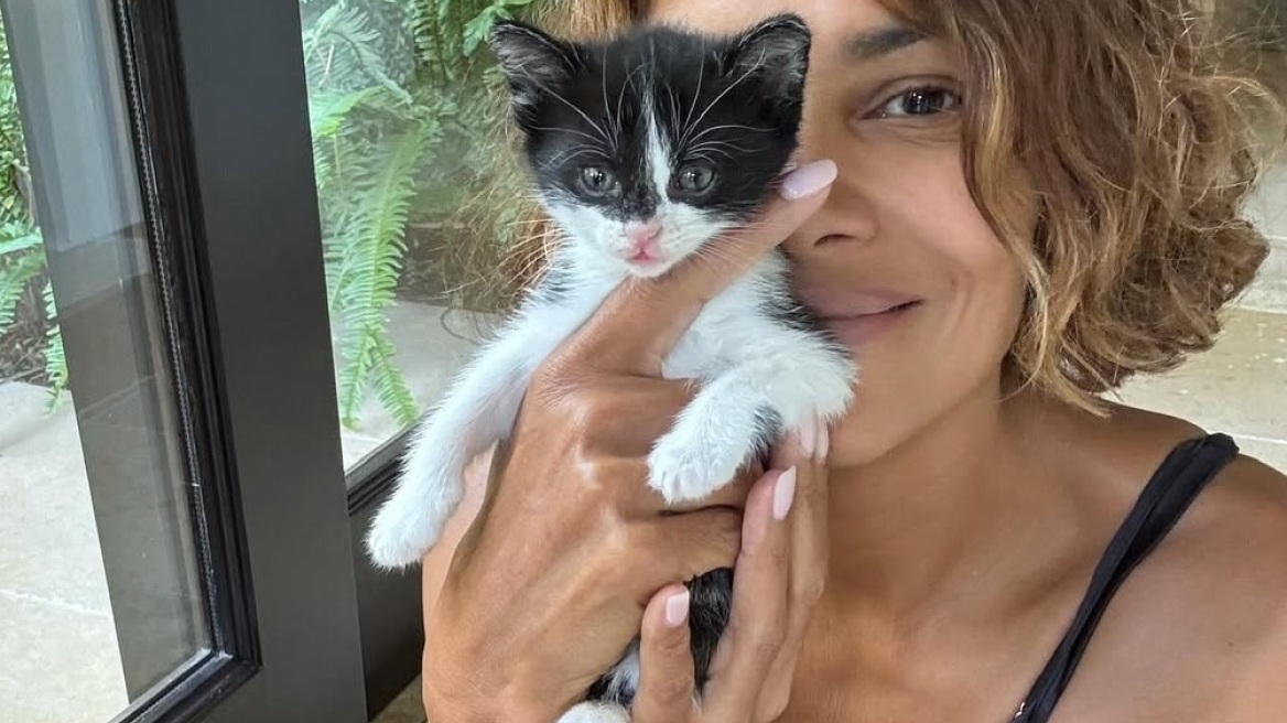 Η Χάλι Μπέρι είναι η πραγματική Catwoman: Οι φωτογραφίες με το γατάκι που βρήκε στον κήπο της