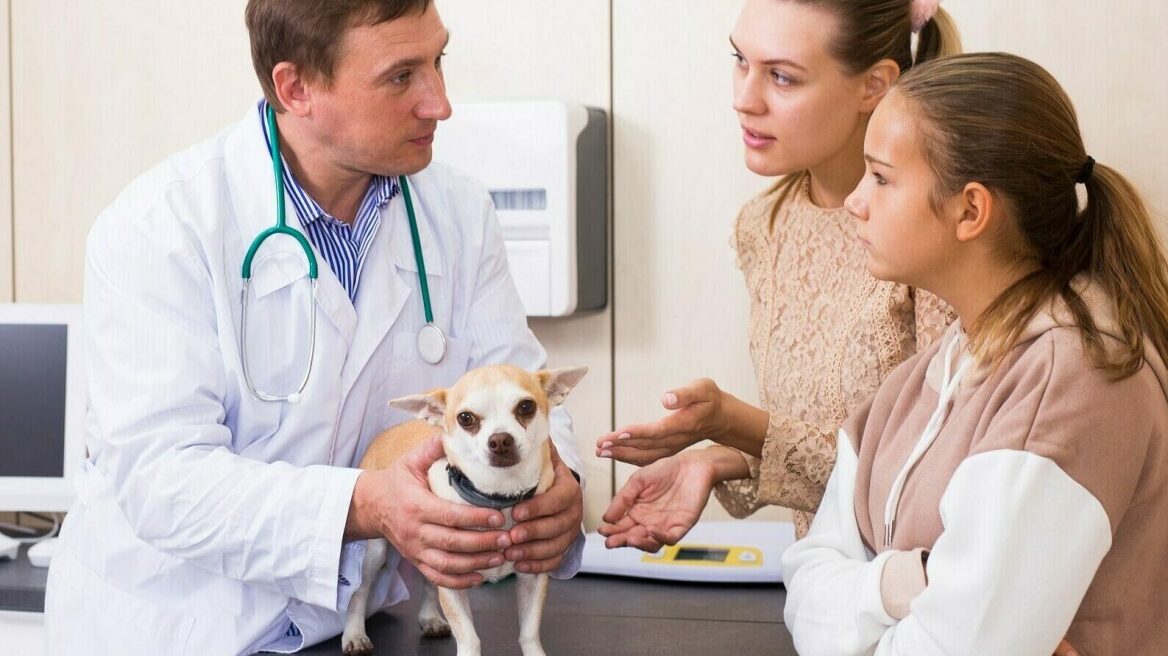 Αυτές είναι οι ερωτήσεις που πρέπει να κάνετε την πρώτη φορά στον κτηνίατρο
