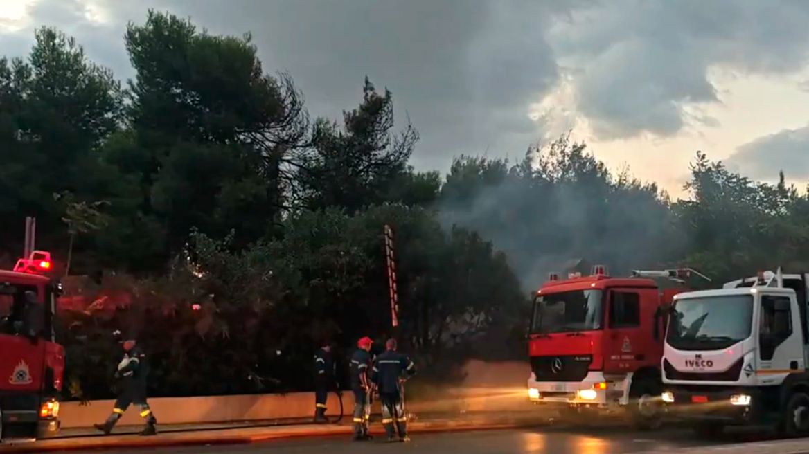 Φωτιά σε καφέ - μπαρ στους Αγίους Αναργύρους, καταστράφηκε ολοσχερώς η επιχείρηση
