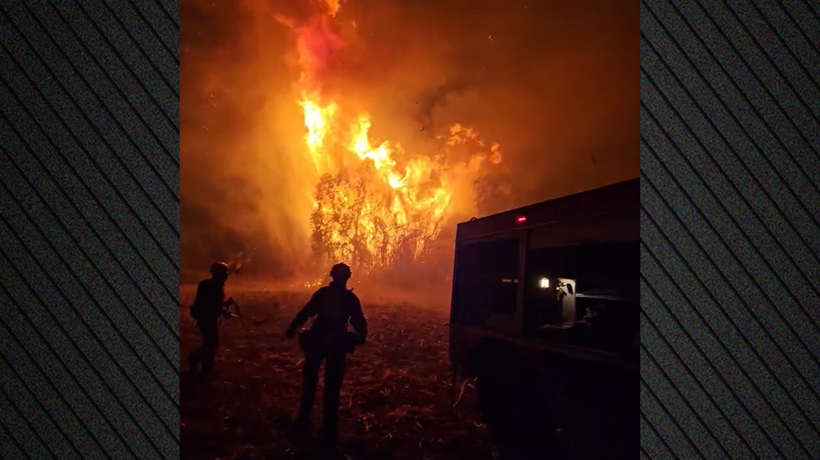 Οριοθετήθηκε η φωτιά στα Λεχαινά Ηλείας - Δείτε βίντεο