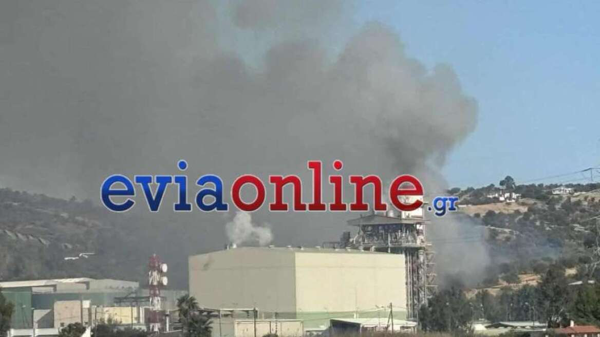 Φωτιά τώρα στην Ανθούπολη Εύβοιας - Κινητοποίηση της Πυροσβεστικής, δείτε βίντεο