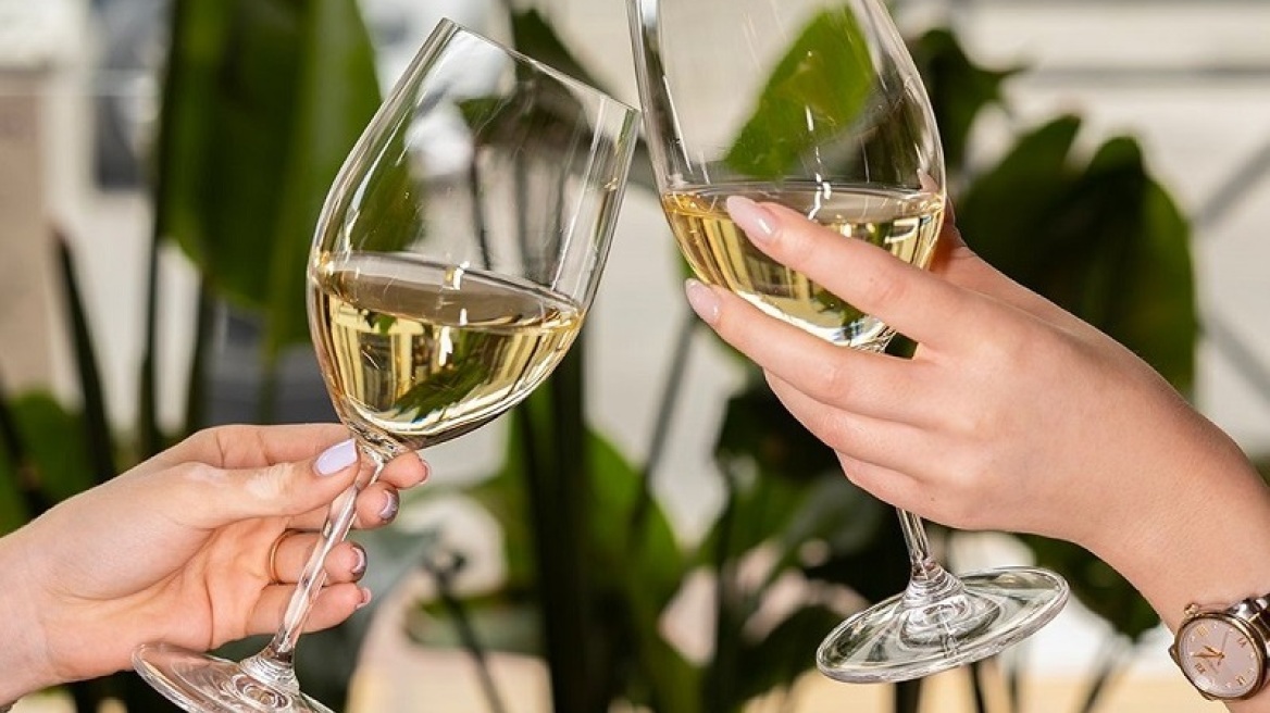 ViBo Harvest Festival: Η μαγεία του τρύγου ζωντανεύει στον Πειραιά
