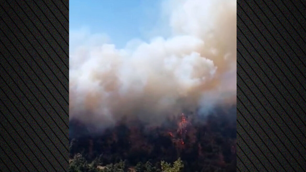 Καλύτερη η εικόνα της φωτιάς στο Άνω Καστρίτσι Αχαΐας - Δείτε βίντεο