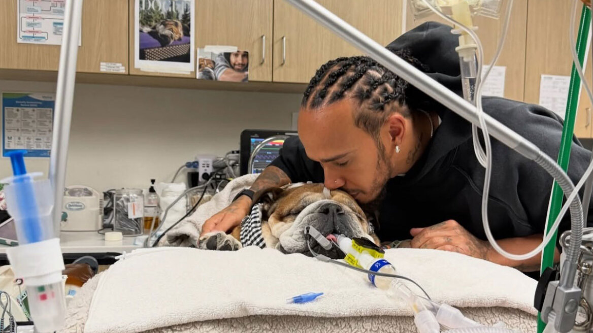 Ο σκύλος του Λιούις Χάμιλτον βρίσκεται σε κώμα - Το μήνυμα του επτάκις παγκόσμιου πρωταθλητή για τον Roscoe