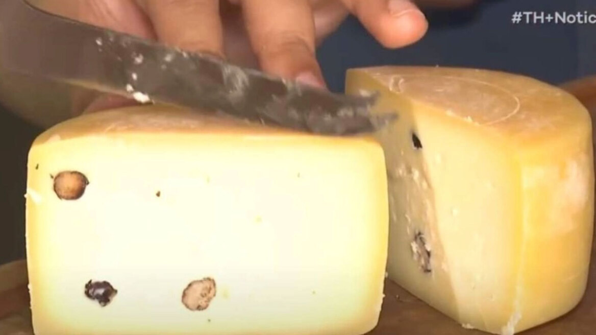Η νέα παγκόσμια γαστρονομική επιτυχία της Βραζιλίας: Τυρί με καβουρδισμένα μυρμήγκια κάνει πάταγο (vid)