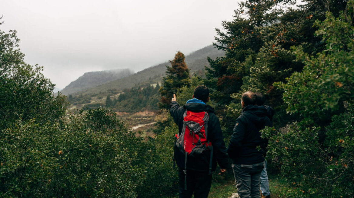 Καλάβρυτα: Ένας πλήρης οδηγός εμπειριών για τον πολυσυλλεκτικό προορισμό 