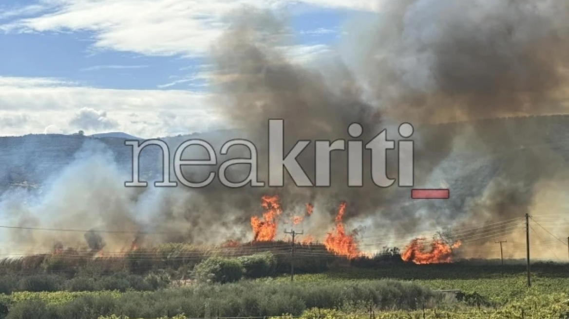 Κρήτη: Συναγερμός για φωτιά στις Μαλάδες – Ήχησε το 112   