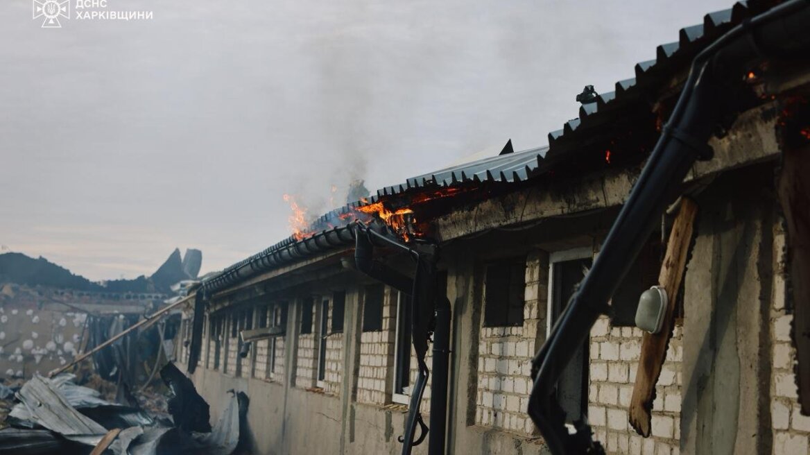 Πόλεμος στην Ουκρανία: Ρωσικό πλήγμα σε χοιροτροφείο του Χαρκόβου - Νεκρά 13.000 ζώα